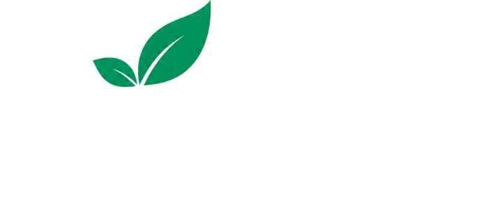 Elveta